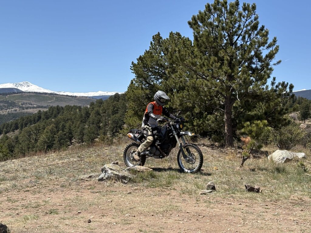 Riding the DirtCati past a pine tree