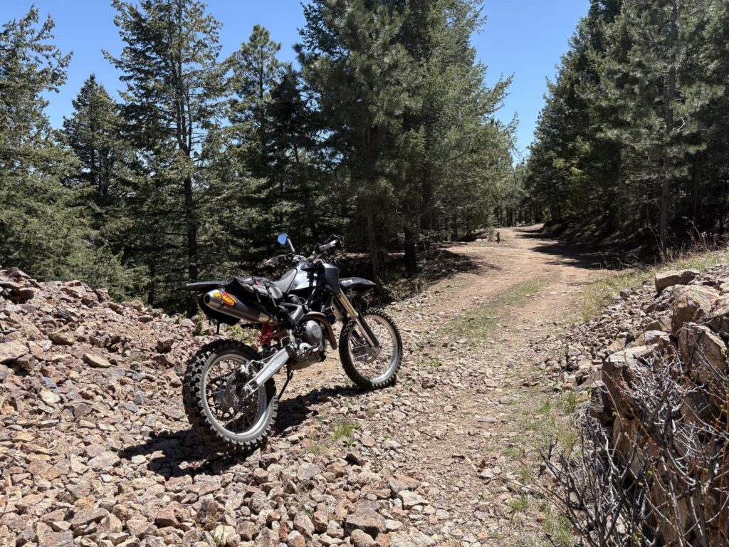 The DirtCati on a rocky forest trail